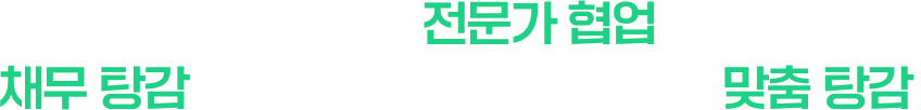 모든 법률 분야 전문가 협업을 통한
        채무 탕감의 최적화 솔루션 제공으로 맞춤 탕감!